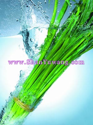 ����֮�ա�ҧ����������