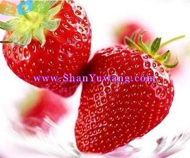 ˮ������Զ�봺����