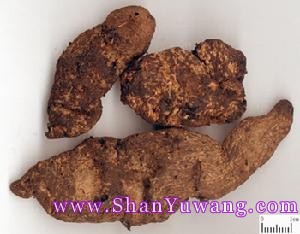 �ػ�