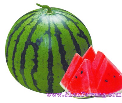 ���ϵ�Ӫ����ֵ