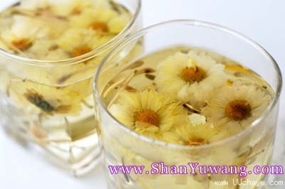 �ջ���Ĺ�Ч������ �ָ���������Ч