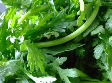 �и����Զ������������ı�������