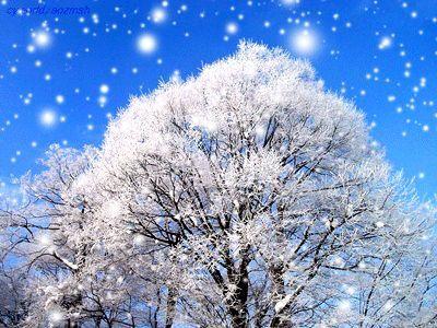 ҽ�������ĳ������� �������˸�����