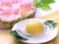 �칫����Կ��ǽ���֧��