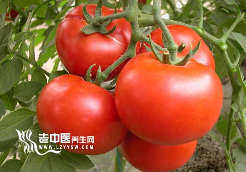 �ļ�����ָ�ϣ���������Ӫ��