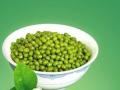 绿豆如何才能保持“绿色营养”？